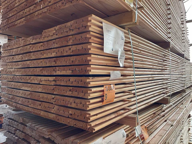Douglas design/triple/deens profiel 4000x142x22mm (166x) - afbeelding 4 van  4