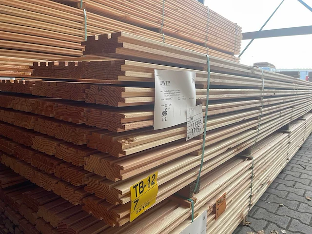 Douglas design/triple/deens profiel 5000x142x22mm (112x) - afbeelding 4 van  4