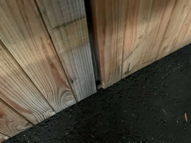 Douglas dubbele buitendeur 240x210 cm - afbeelding 3 van  5