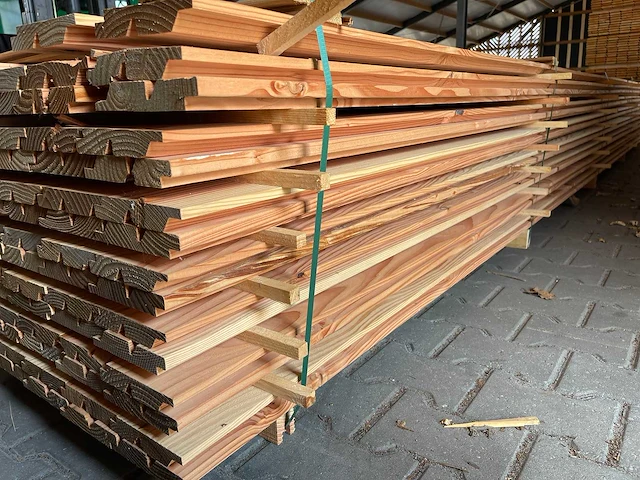 Douglas dubbele rhombus profiel 4000x140x25mm (60x) - afbeelding 2 van  4