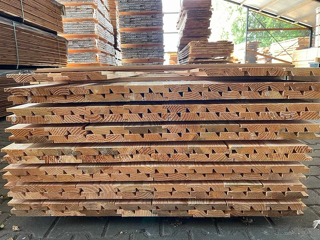Douglas dubbele rhombus profiel 4000x140x25mm (60x) - afbeelding 3 van  4