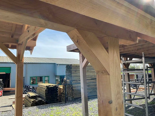 Douglas kapschuur met dakpanplaat 1550x460x325 cm - afbeelding 8 van  18