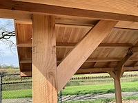 Douglas kapschuur met dakpanplaat 890x360x325 cm - afbeelding 6 van  18