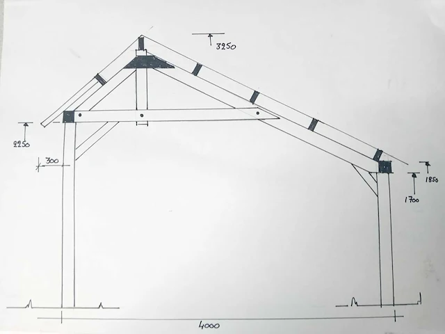 Douglas kapschuur met dakpanplaat 890x460x325 cm - afbeelding 10 van  18