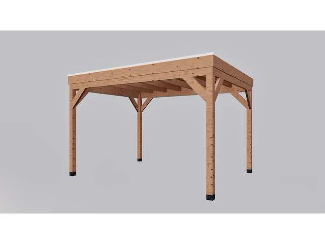 Douglas overkapping 300 x 400 cm verando - afbeelding 2 van  5