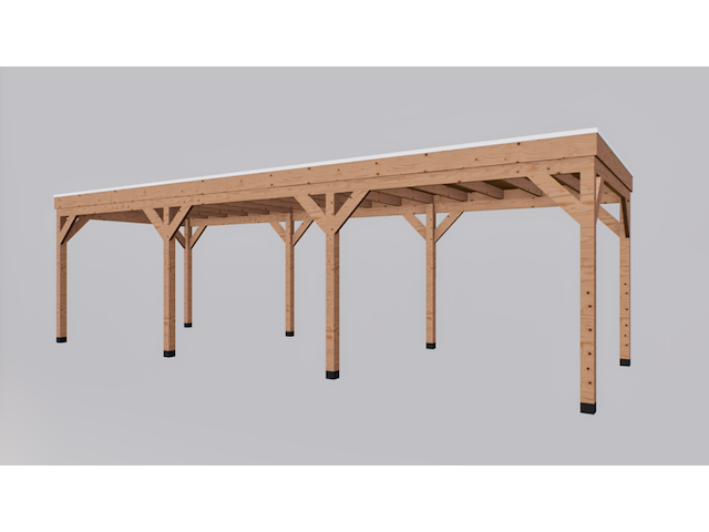 Douglas overkapping 300*900cm verando - afbeelding 2 van  9