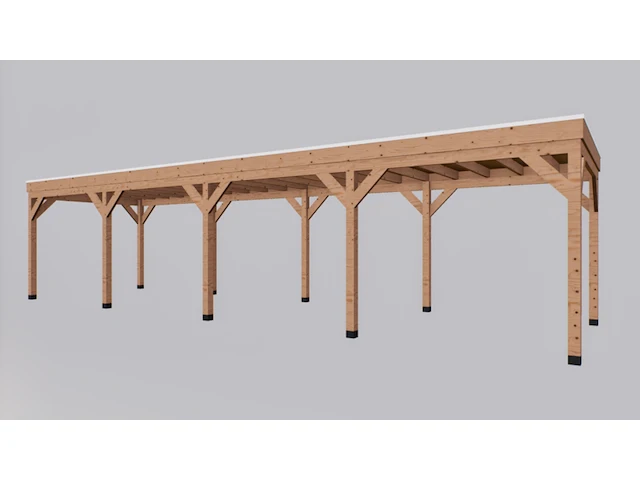 Douglas overkapping 300x1100cm, verando - afbeelding 4 van  11