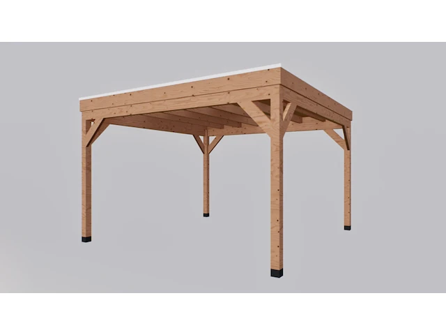 Douglas overkapping 400x400cm verando - afbeelding 2 van  5