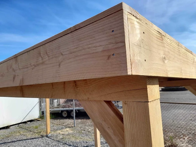 Douglas overkapping 400x400x230 cm - afbeelding 6 van  8