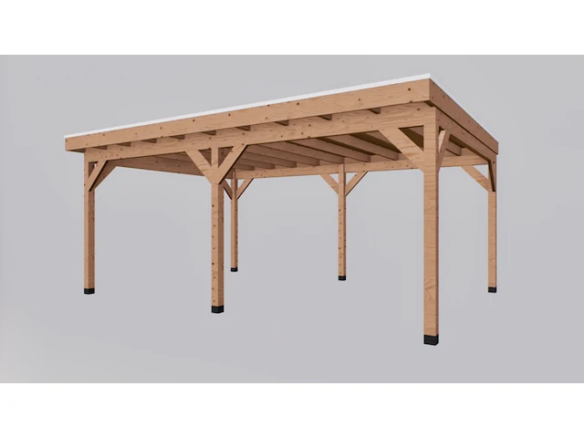 Douglas overkapping 400x600cm, verando - afbeelding 2 van  8
