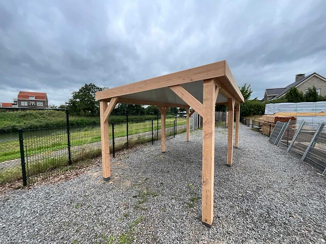 Douglas overkapping 600x300x245 cm - afbeelding 3 van  9