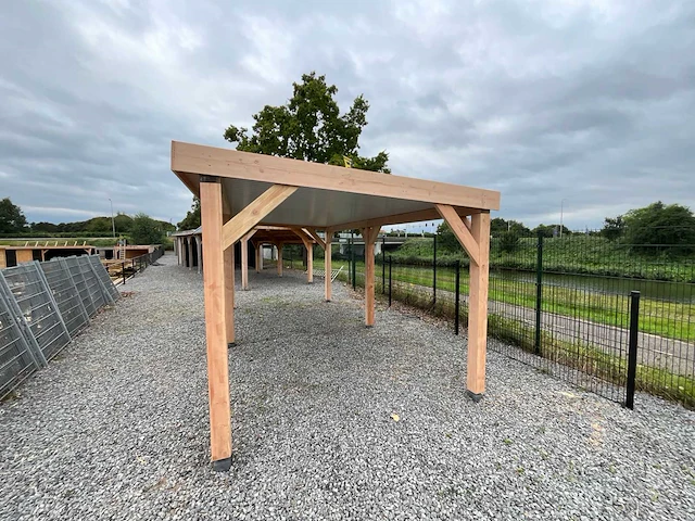 Douglas overkapping 600x300x245 cm - afbeelding 6 van  9