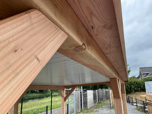 Douglas overkapping 600x300x245 cm - afbeelding 8 van  9