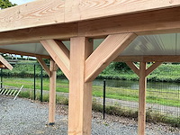 Douglas overkapping 600x400x245 cm - afbeelding 2 van  9