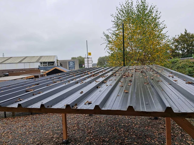 Douglas overkapping 740x310x300 cm - afbeelding 9 van  9
