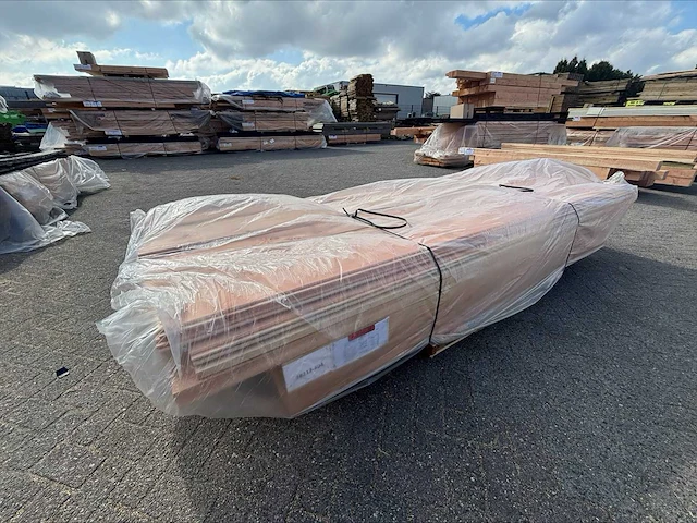 Douglas overkapping 900x400 cm - afbeelding 5 van  5