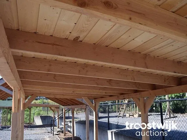 Douglas overkapping 900x400 cm - afbeelding 2 van  4