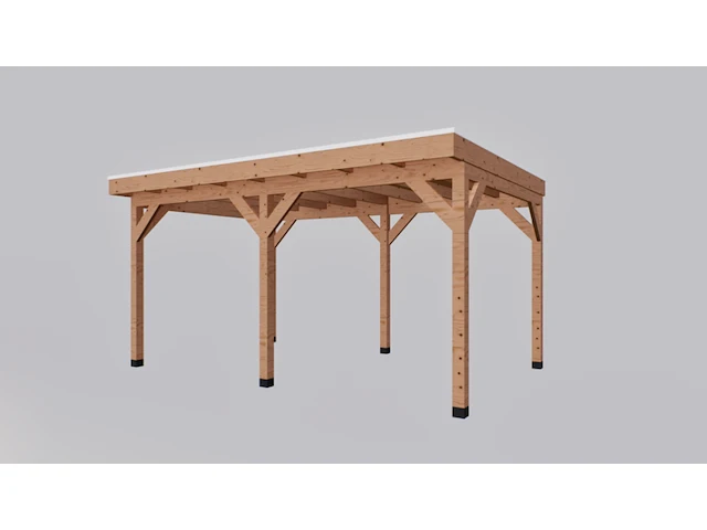 Douglas overkapping met overstek 300x500cm, verando - afbeelding 2 van  5
