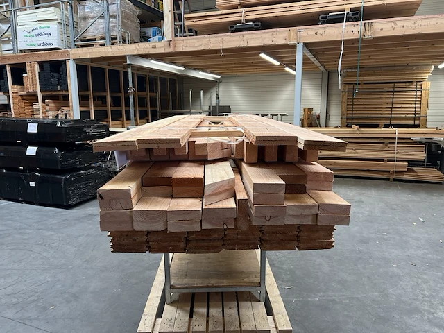 Douglas overkapping met overstek 300x900 + wanden, verando - afbeelding 6 van  12