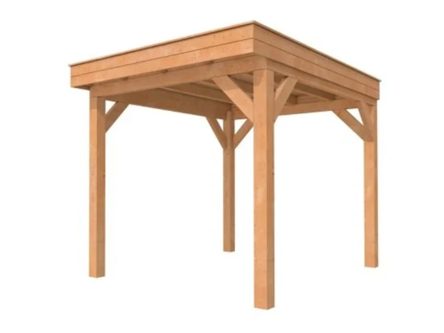 Douglas overkapping plat dak premium, 310 x 310 cm, hillhout - afbeelding 2 van  6