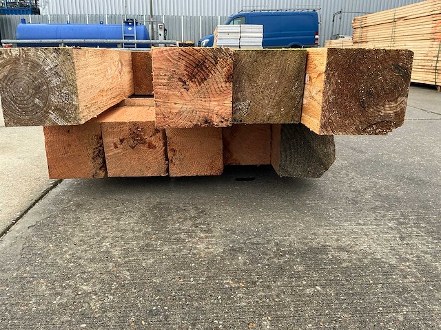 Douglas paal (10x) - afbeelding 2 van  11