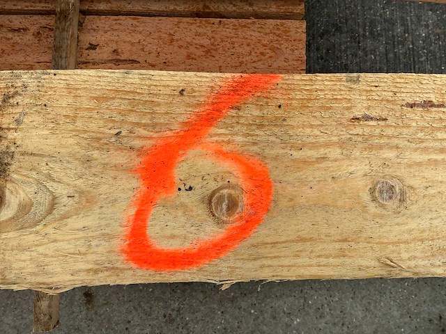 Douglas paal (10x) - afbeelding 3 van  11