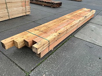 Douglas paal (10x) - afbeelding 1 van  11