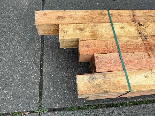 Douglas paal (10x) - afbeelding 5 van  11