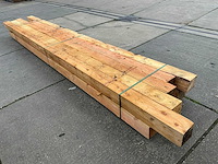 Douglas paal (10x) - afbeelding 7 van  11