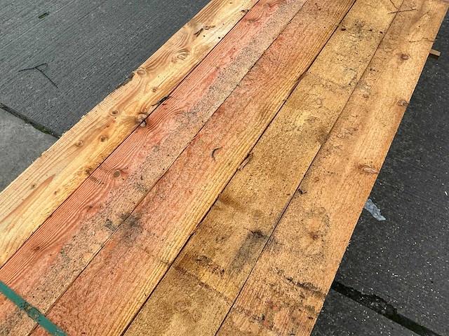 Douglas paal (10x) - afbeelding 11 van  11