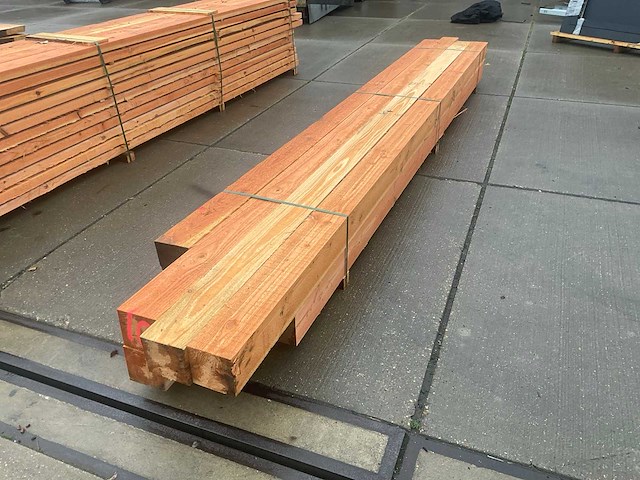 Douglas paal (8x) - afbeelding 3 van  7