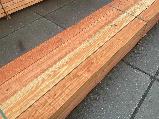 Douglas paal (8x) - afbeelding 4 van  7