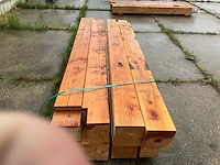 Douglas palen met inkaping (8x) - afbeelding 5 van  6