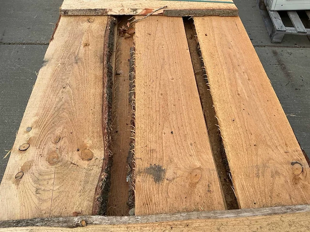 Douglas planken en schaaldelen (51x) - afbeelding 11 van  12