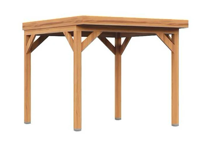 Douglas tuinoverkapping 250x300 cm - afbeelding 1 van  3