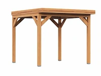 Douglas tuinoverkapping 250x300 cm - afbeelding 1 van  3