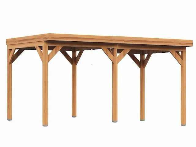 Douglas tuinoverkapping 800x300cm - afbeelding 1 van  3