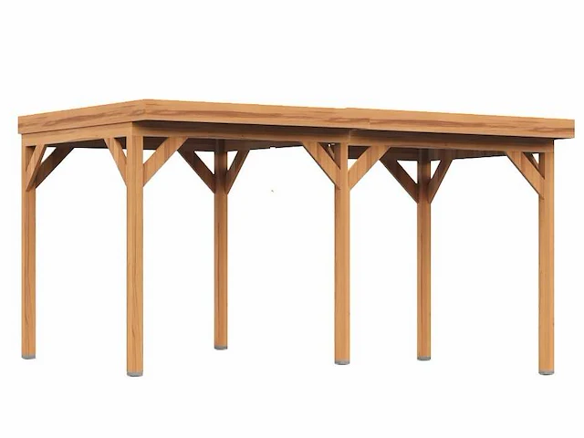 Douglas tuinoverkapping 800x300cm - afbeelding 1 van  3