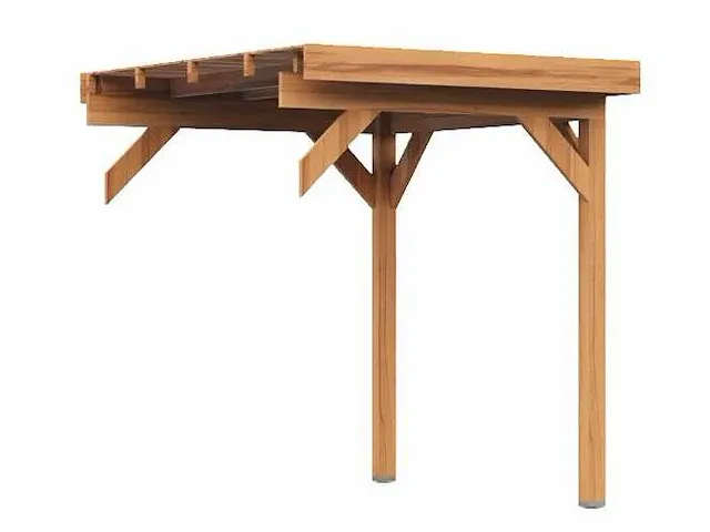 Douglas uitbreiding tuinoverkapping 200x300 cm - afbeelding 1 van  3