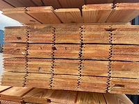 Douglas veer en groef met kraal 3000x170x18mm (105x) - afbeelding 3 van  3