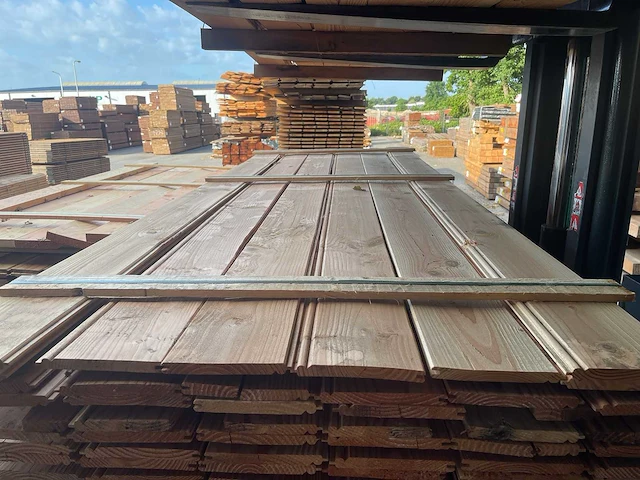 Douglas veer en groef met kraal 3000x170x18mm - afbeelding 1 van  3