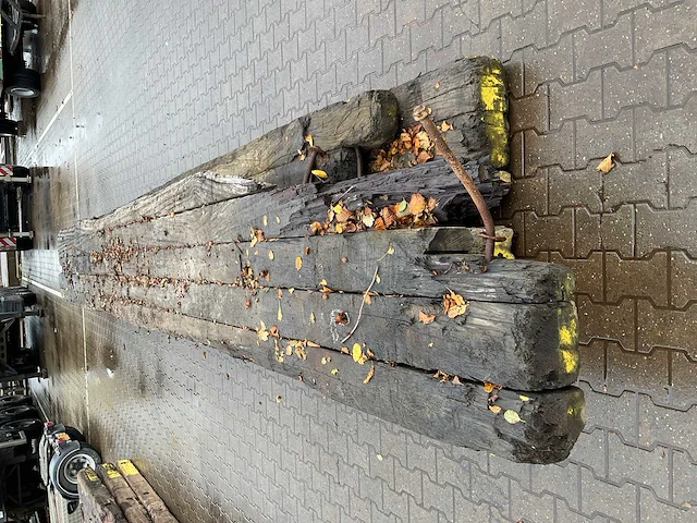 Dragline schot (3x) - afbeelding 5 van  6