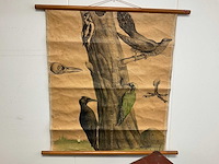 Drie antieke koffers en een schoolkaart - afbeelding 3 van  5