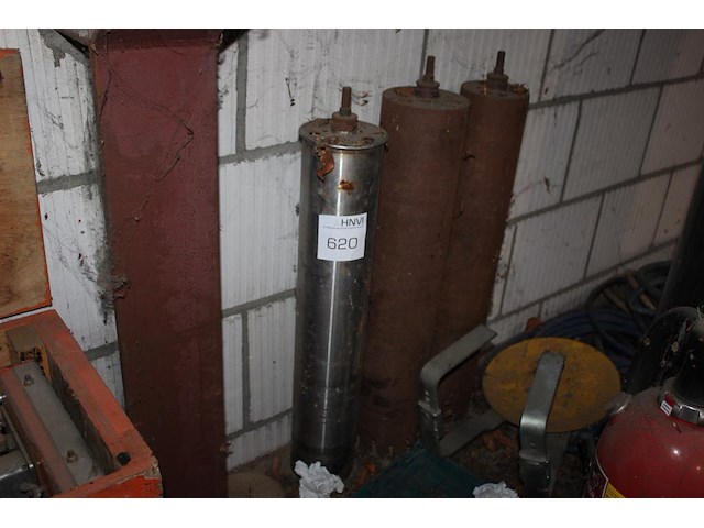 Drie diverse grote gatenboren. - afbeelding 1 van  2