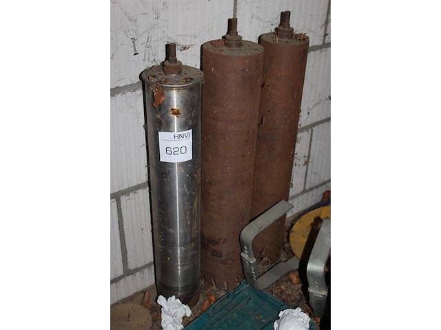 Drie diverse grote gatenboren. - afbeelding 2 van  2