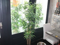 Drie stuks kunstbamboe in pot. hoogte 175 cm. - afbeelding 1 van  2