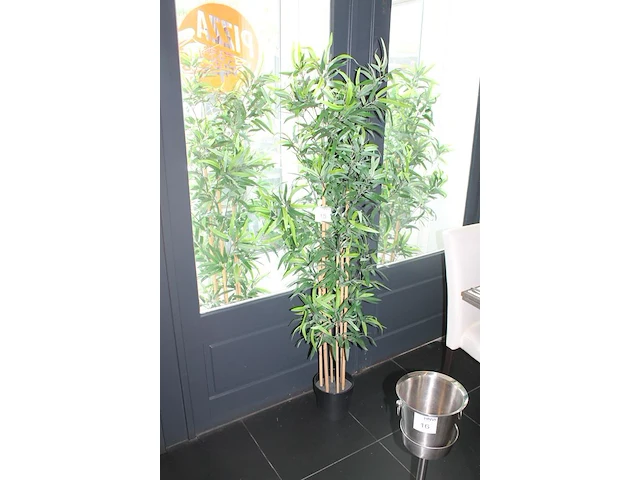 Drie stuks kunstbamboe in pot. hoogte 175 cm. - afbeelding 2 van  2