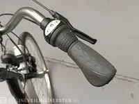 Driewielfiets pfau-tec, proven - afbeelding 2 van  10