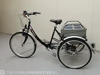 Driewielfiets pfau-tec, proven - afbeelding 3 van  10
