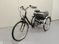 Driewielfiets pfau-tec, proven - afbeelding 4 van  10
